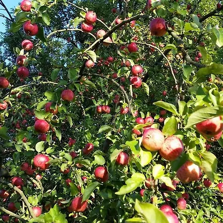 Ankerplatz Vakantiehuis *